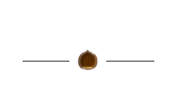 Hôtel - Restaurant La Châtaigneraie